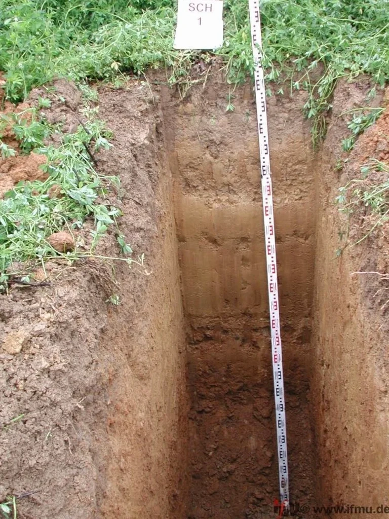 Exploratory Test Pits in Newark: Ground Truth Before You Build